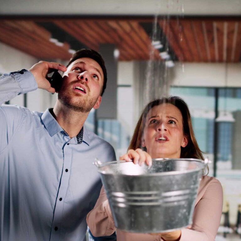 Water Damage Thousand Oaks