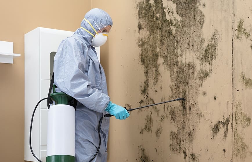 Mold Remediation Thousand Oaks: Protect Your Home & Family
