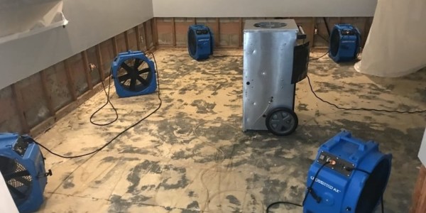 Why is There Water in My Crawl Space? A Thousand Oaks Homeowner's Guide