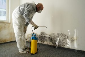 Mold Remediation Services Thousand Oaks